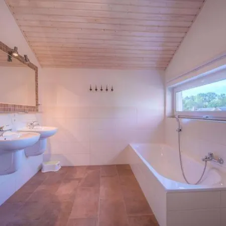 Kondor 253 Ferienhaus